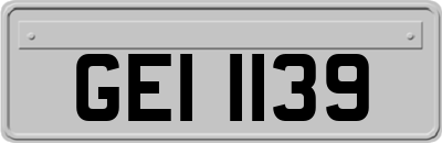 GEI1139