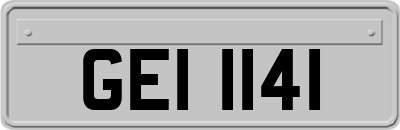 GEI1141