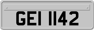 GEI1142