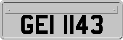 GEI1143