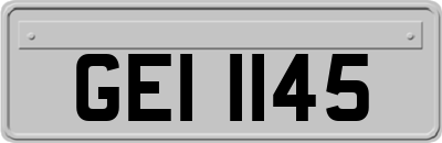 GEI1145