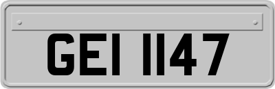 GEI1147