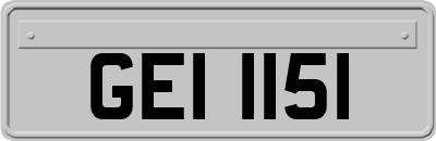 GEI1151