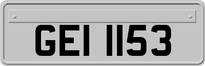 GEI1153