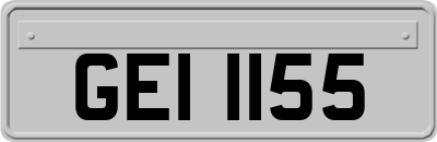 GEI1155