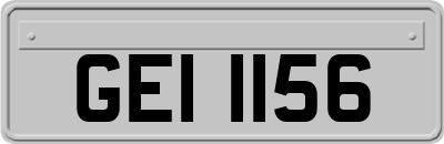 GEI1156