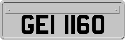 GEI1160
