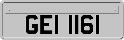 GEI1161