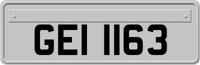 GEI1163