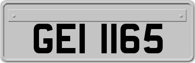 GEI1165