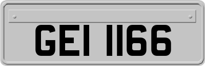GEI1166