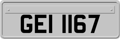 GEI1167