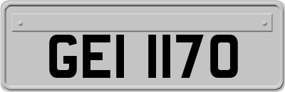 GEI1170