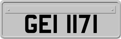 GEI1171