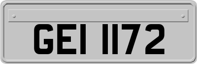 GEI1172