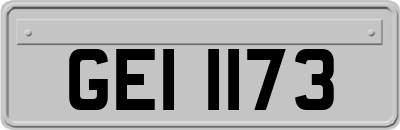 GEI1173