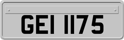 GEI1175