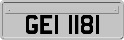GEI1181