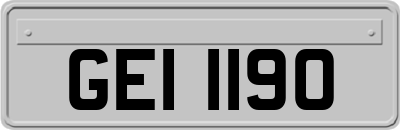 GEI1190