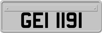 GEI1191