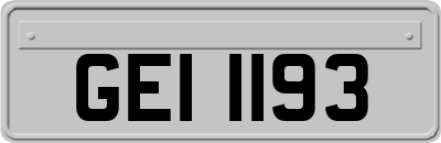GEI1193