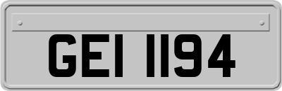 GEI1194