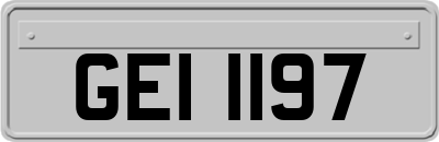 GEI1197