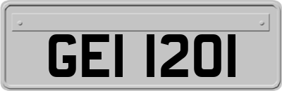 GEI1201