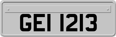 GEI1213