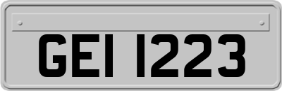 GEI1223