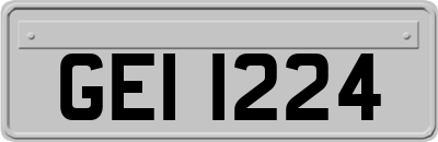 GEI1224