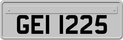 GEI1225