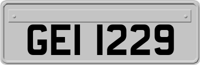 GEI1229