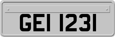 GEI1231