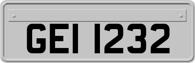 GEI1232