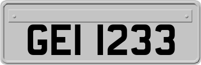 GEI1233