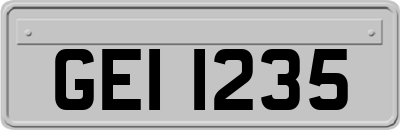 GEI1235