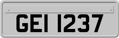 GEI1237