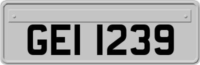 GEI1239