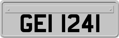 GEI1241