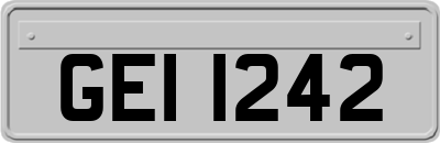GEI1242
