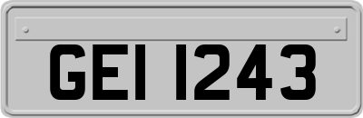 GEI1243