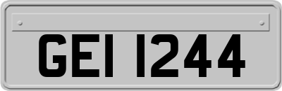 GEI1244