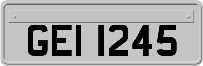 GEI1245