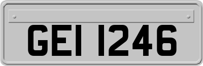GEI1246