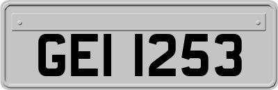GEI1253