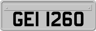 GEI1260