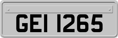 GEI1265