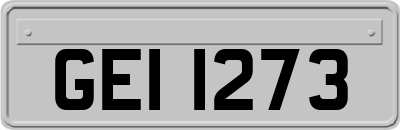 GEI1273
