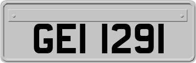 GEI1291